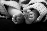 IMG_8523