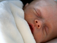 Wyatt