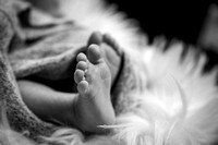 IMG_1859-2