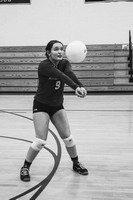 IMG_6568